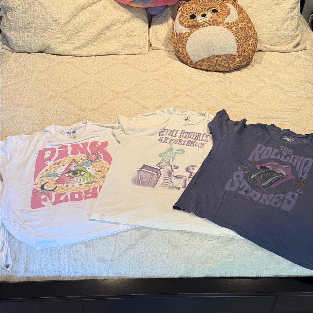 2 American Eagle Outfitters Pink and Blue Graphic Band Tees & Jimi Hendricks Tee